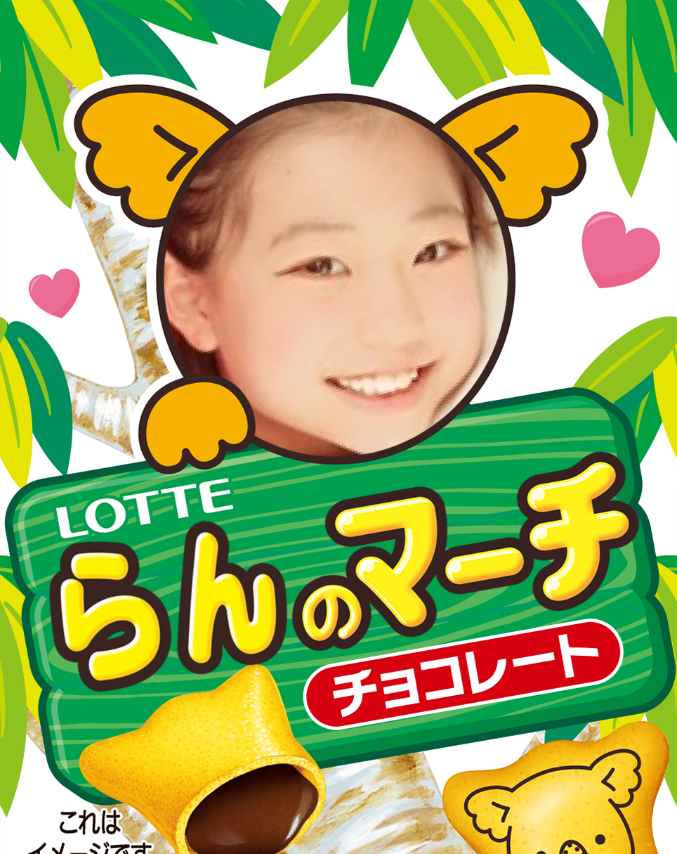 ギャラリー | オリジナル コアラのマーチ