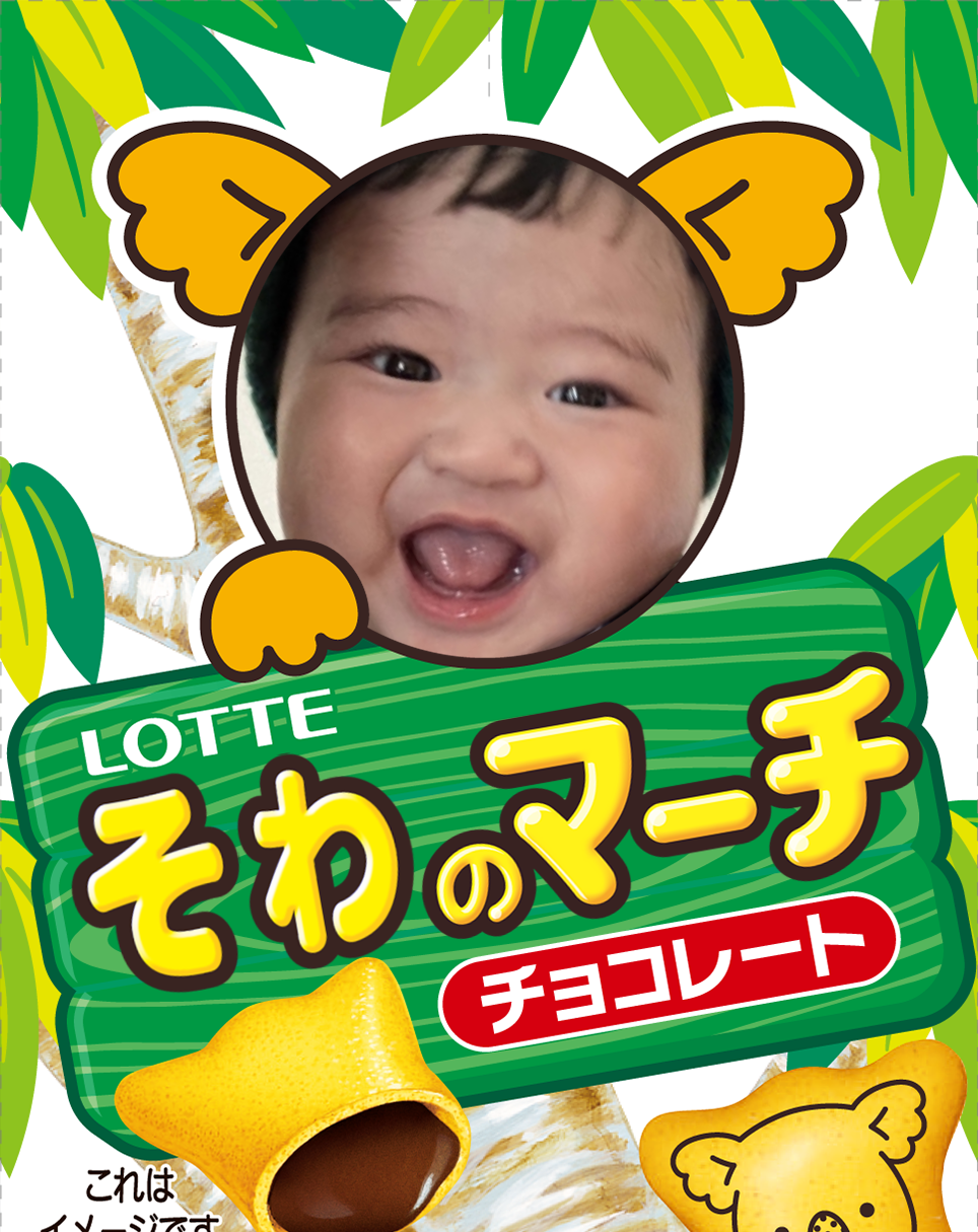 ギャラリー | オリジナル コアラのマーチ