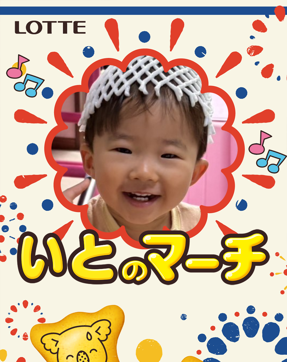 ギャラリー | オリジナル コアラのマーチ